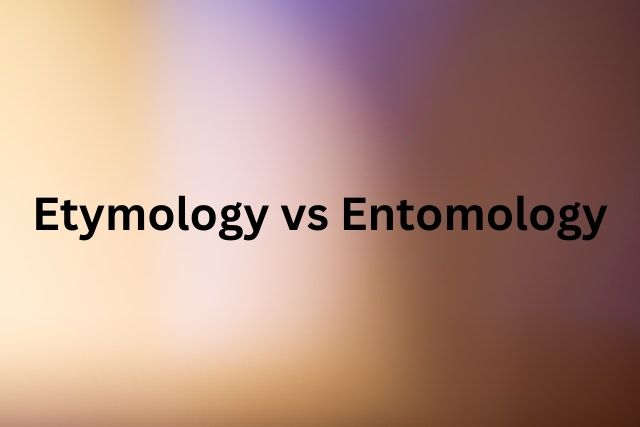 Etymology vs Entomology